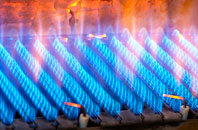 Brochroy gas fired boilers